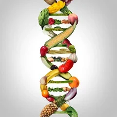 Adn en fruits et légumes Double hélice de l'ADN constituée de divers fruits et légumes colorés.